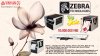 flower_bright_shiny_drawing_11318_1920x1080.jpg