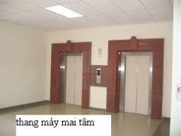 thangmay0911