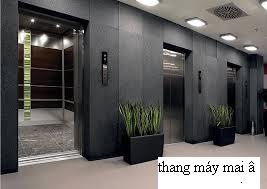 thangmay1193